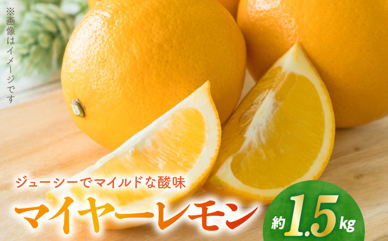 
                  【先行予約】福島オレンジ農園 マイヤーレモン 1.5kg _U54-0017
                