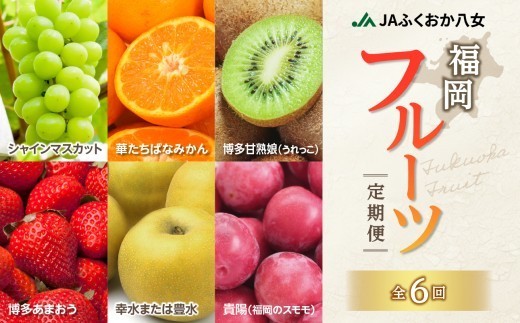 福岡フルーツ定期便【全6回】盛りだくさん果物お届け定期便　JAふくおか八女からお届け！！ 梨 豊水 幸水 シャインマスカット みかん ミカン あまおう いちご 苺 イチゴ 貴陽 すもも キウイ フルーツ 果物 くだもの 人気 旬 高糖度 甘い 福岡県産 アフター補償 数量限定 期間限定 産地直送 全6回 定期便 福岡県 八女市