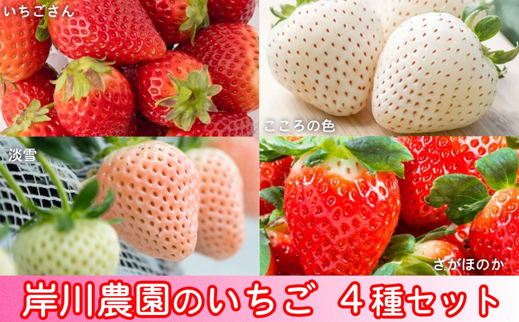 
                  【セット】岸川農園のいちご４種セット「いちごさん、こころの色、淡雪、さがほのか」220ｇ×各1P
                