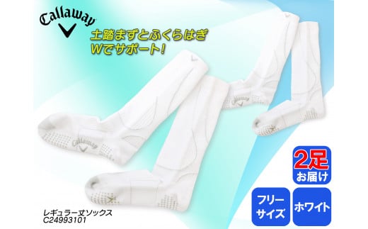 ゴルフソックス キャロウェイ レギュラー丈 紳士用 ソックス ホワイト フリーサイズ 抗菌防臭 ゴルフ Callaway 2足 白 ホワイト ゴルフ ゴルフ用品 ゴルフ用靴下 靴下 くつした 紳士用 メンズ メーカー ソックス すべり止め 靴下 健康 定番機能 機能性ソックス Fサイズ ゴルフウェア 無地 シンプル くつ下 洋服 スポーツウェア 靴下 ファッション 大阪府 松原市