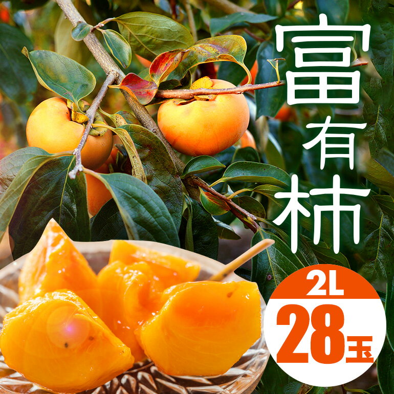 【ふるさと納税】【 2026年 先行予約 】 富有柿 2L 28玉 (14玉×2段箱) 坂川果樹園 柿 甘い柿 かき 富有カキ 甘い 果物 フルーツ くだもの カキ 富有かき 秋 旬 糖度 贈答用 贈答品 ギフト 贈り物 品種 11月 12月 発送 産地直送 農家直送 茨城県 石岡市 送料無料 (A20-002)