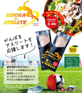 鶏肉 ささみ 定期便 6回 アスリート 味付き ササミ 3本 トレーニング  アウトドア outdoor ダイエット 健康食 ささみ サラダ ヘルシー 保存食