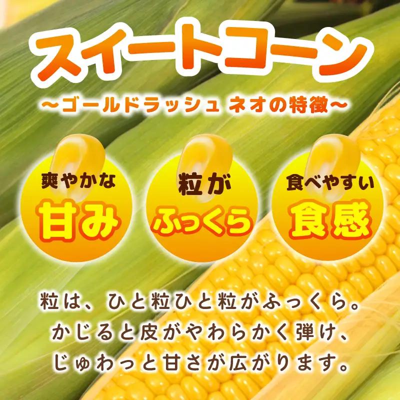 【先行予約】とうもろこし(ゴールドラッシュ ネオ) 約2.5kg（7～8本）