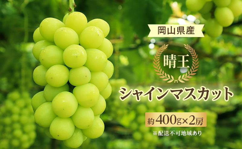 ぶどう 2025年 先行予約 シャイン マスカット 晴王 約400g×2房 8月下旬～11月下旬発送 ブドウ 葡萄  岡山県産 国産 フルーツ 果物 ギフト