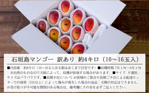 【先行受付】訳あり 沖縄マンゴー（石垣島産）4kg ときわマンゴー農園【2024年7月～8月中旬に順次発送予定】TK-4-1