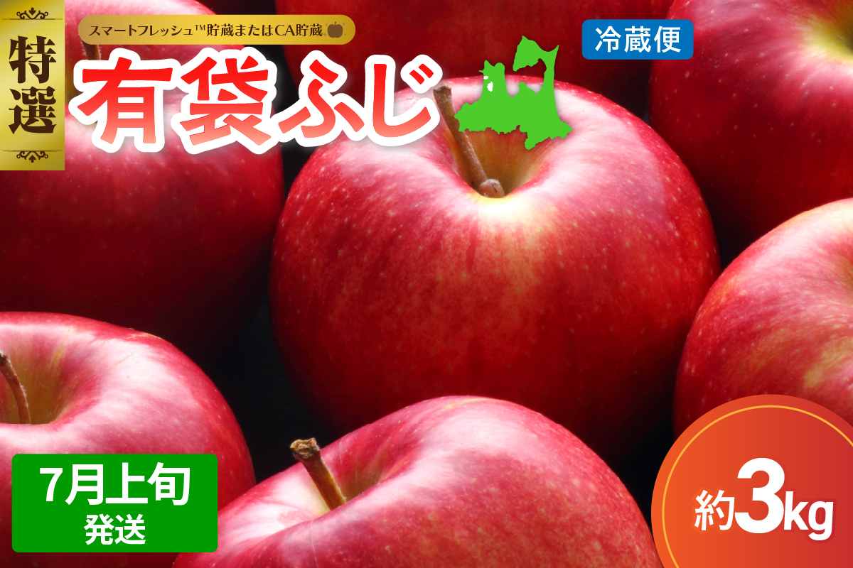 【2026年7月上旬発送】≪特選≫ りんご 有袋ふじ 3kg (スマートフレッシュ™貯蔵またはCA貯蔵・クール便)