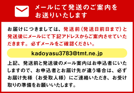 【8月配送開始】〈配送地域限定〉 産地直送 氷見漁港 朝どれ鮮魚お刺身セット定期便3ヶ月連続 土日祝日配達希望