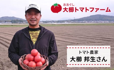 【先行予約受付中：2023年10月中旬以降順次発送】甘くて濃厚！糸島産大玉トマト4kg《糸島》【大櫛トマトファーム】[AQH002] トマト とまと 大玉 tomato 予約販売 甘い 大きい 産地直