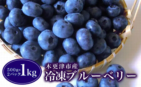 木更津市産　冷凍ブルーベリー　１kg（５００ｇ×２パック） KCA002