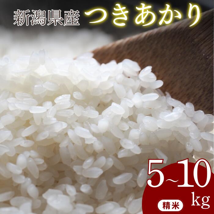 【ふるさと納税】米 新潟県産 つきあかり 5kg 10kg お米 精米 ごはん ブランド 品種 送料無料 新潟県 ご飯 おこめ 新潟産 新潟 見附 見附市