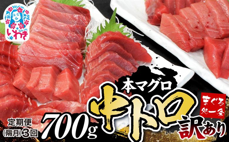 【定期便/隔月/計3回】本マグロ訳あり中トロ700g（計2.1kg）【DG008-tk3】|いわき市 ふるさと納税 株式会社東日本貿易 鮪 本鮪 本まぐろ マグロ トロ とろ 刺し身 さしみ さかな 海鮮 寿司 解凍レシピ付