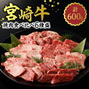 【ふるさと納税】牛肉 宮崎牛 焼肉 食べ比べ 6種盛 600g サーロイン リブ芯 トウガラシ カタ カルビ 中落カルビ 肉質等級 4等級以上 お肉 肉 国産 国産牛 和牛 食品 冷凍 バーベキュー お取り寄せ お取り寄せグルメ 宮崎県 延岡市 送料無料