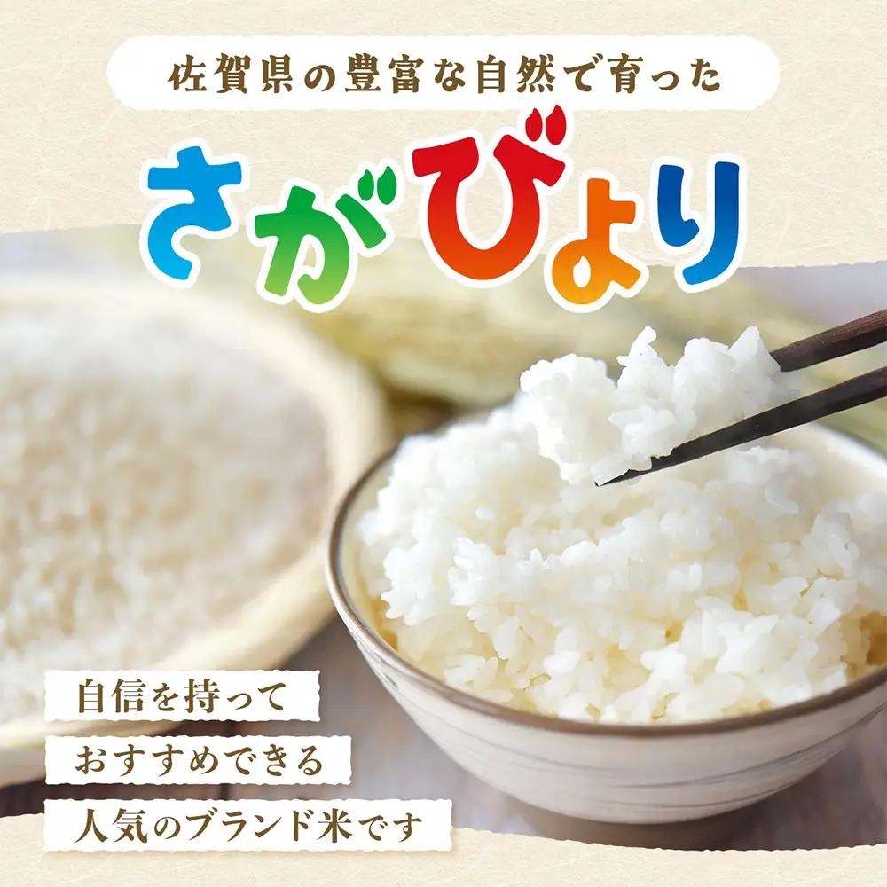 無洗米 さがびより 30kg 定期便 12回（12か月） 佐賀県産 V-37 合計360kg お米 白米 精米