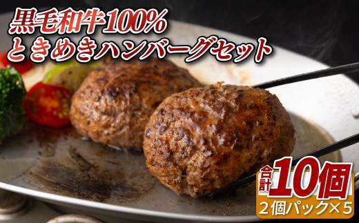 B380 黒毛和牛100%ときめきハンバーグセット