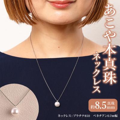 ふるさと納税 大分市 プラチナ850　あこや本真珠　パールネックレス　1珠　真珠8.5mm_T04002 | 
