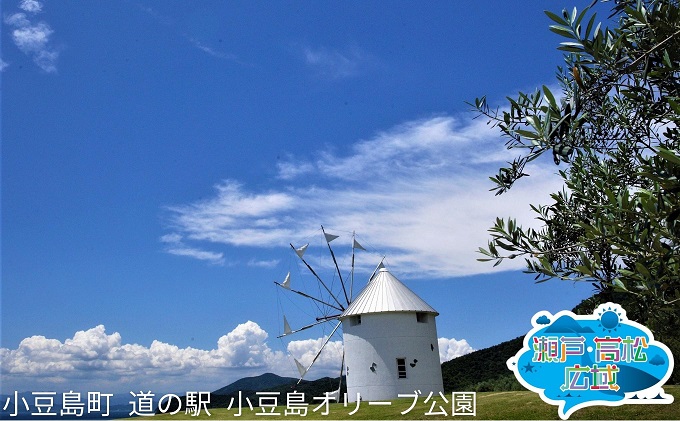 旅行券 ペア旅行券 小豆島 瀬戸内 瀬戸内海 2名様 貸切クルーザー 2日間 ペア 1泊 2日 宿泊券 旅行クーポン チケット 男木島 高松 観光 旅行 香川旅行 体験 一泊二食 タクシー 土庄港 高松港 男木島の魂 歩く方舟 アート JTB 土庄 香川県 東かがわ市