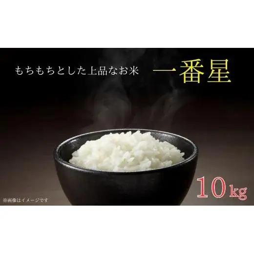 《 令和7年産 》米 もちもちで上品な食感「一番星」精米10kg ／ 米 こめ コメ お米 おこめ 一番星 白米 ごはん 令和7年産 10kg 茨城県 利根町 送料無料