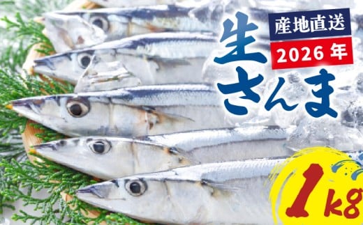 【2026年先行予約】 さんま 約1kg サンマ 冷蔵 秋刀魚 鮮さんま 限定 期間限定 旬 簡単調理 焼き魚 煮魚 フライ おかず おつまみ 晩酌 米 丼 海産物 海鮮 魚介 魚介類 テレビ TV 放送 ニュース 番組 大船渡 大船渡市 三陸 岩手県