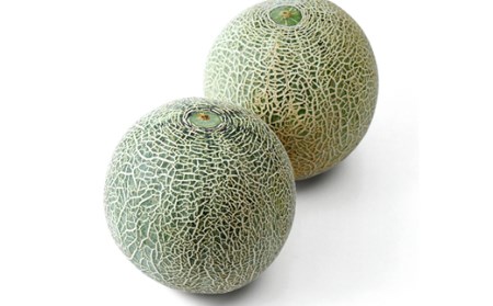 《先行予約 2024年度発送》ぎゅっと肉厚！山形のおいしいメロン【青肉】 FSY-0118