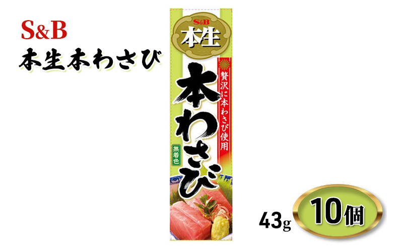 
S&B 本生 本わさび 43g 10個 エスビー食品 エスビー 無着色 わさび ワサビ 山葵 wasabi チューブ 調味料 信州 長野 長野県 上田市 [№5312-0817]
