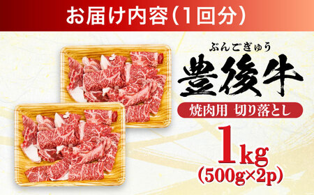 【全12回定期便】【訳あり】おおいた豊後牛 焼肉 切り落とし 1kg(500g×2P) 日田市 / 株式会社MEAT PLUS　牛 うし 黒毛和牛 和牛 豊後牛[AREI136]