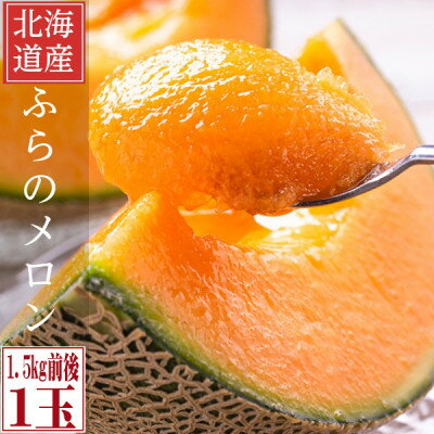 【ふるさと納税】糖度15度前後 富良野メロン 2Lサイズ (1.5kg前後) 1玉入【1635250】