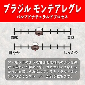 YouTubeで話題！ スペシャルティコーヒー豆 3種セット (200g×3種)《粉 (細挽き)》 [1209]