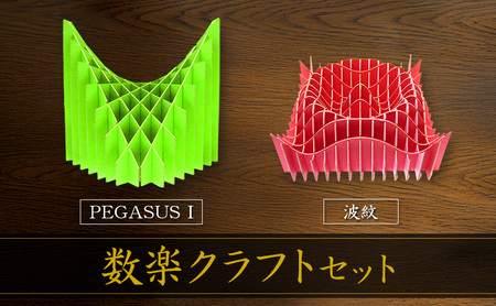 数楽クラフトセット PEGASUSI 波紋 立体グラフ 数楽クラフトセット