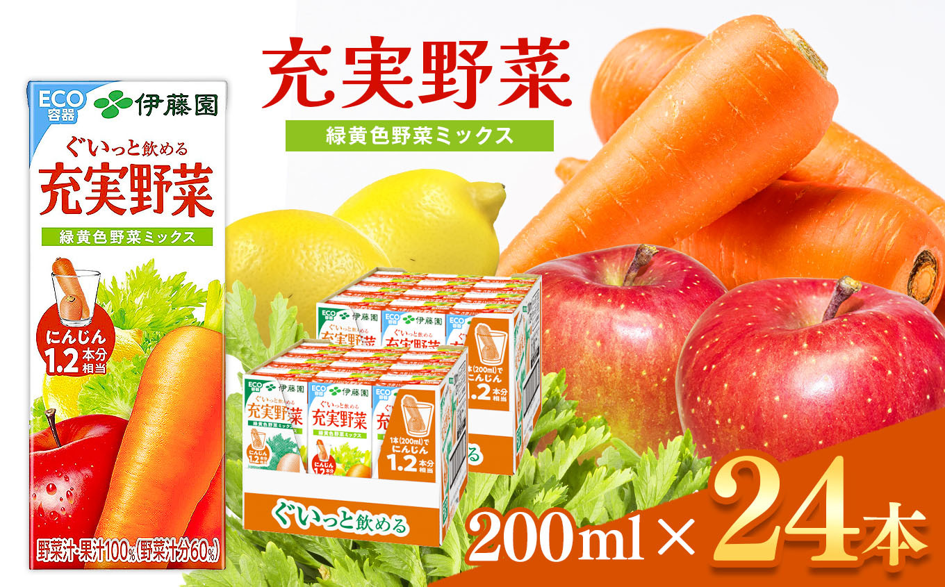 
【定期便6回】紙充実野菜緑黄野菜ミックス２００ｍｌ×２４本伊藤園 | 野菜 ジュース ドリンク 飲料 健康 食品 長期常温可能 1ケース 長野県 松本市 ふるさと納税
