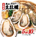 【ふるさと納税】 訳あり 牡蠣 5kg/10kg（生食可) かき カキ 冷凍 岩手県産 殻付き 生食 生食用 訳あり わけあり 大きさ不揃い 不揃い 三陸 三陸産 カンカン焼き かんかん焼き BBQ バーベキュー 貝 海 海のミルク 株式会社國洋 岩手県 大船渡市