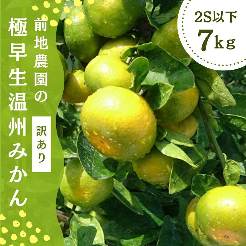 【ふるさと納税】 ご家庭用 訳あり 前地農園の 極早生温州みかん 7kg 2S以下 マルチ栽培 【2025年9月中旬から10月中旬までに順次発送】 わけあり ワケアリ 家庭用 みかん ミカン 蜜柑 フルーツ 果物 くだもの 極早生 温州 数量限定 産地直送 送料無料