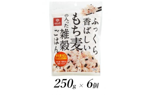 1.3-9-5はくばく　ふっくら香ばしいもち麦の入った雑穀ごはん　250gx6個　ALPAN013