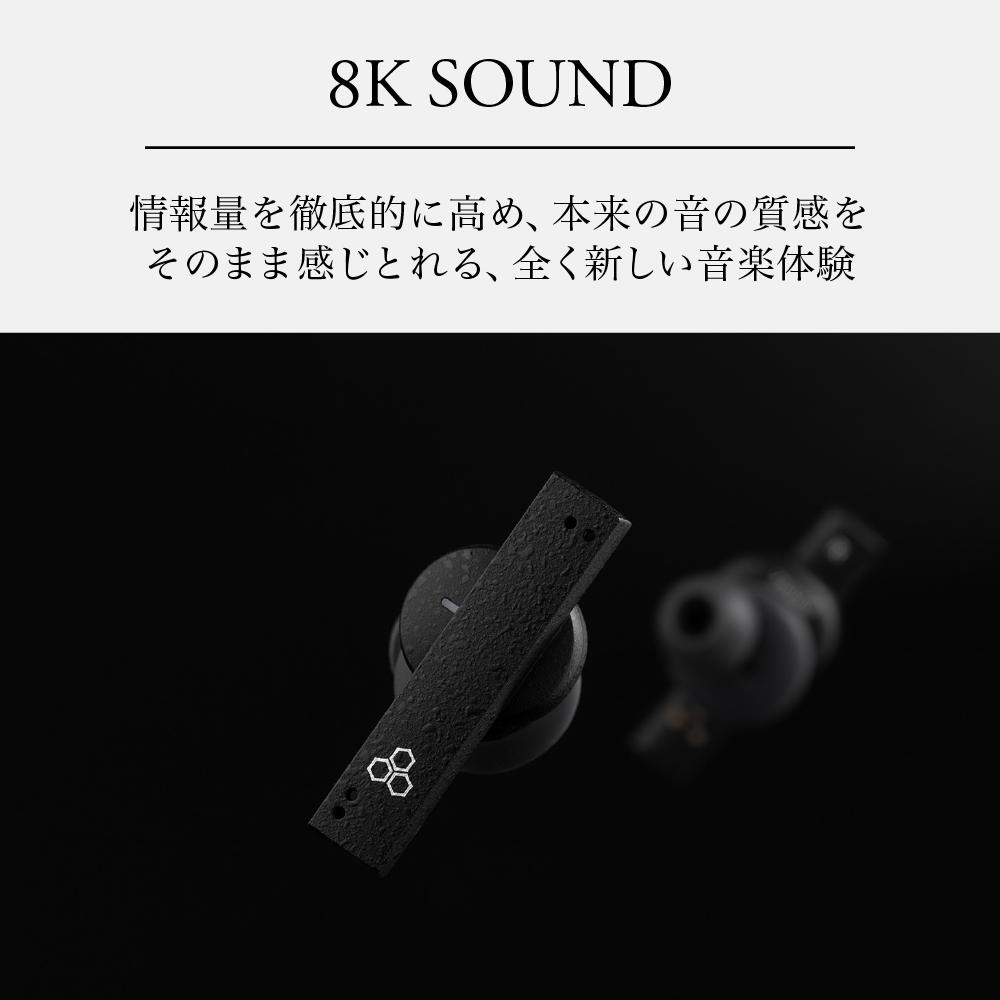 フラッグシップ級完全ワイヤレスイヤホン final ZE8000 BLACK IPX4/aptX Adaptive/Snapdragon Sound対応/音楽/リモートワーク/スポーツ