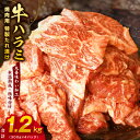 【ふるさと納税】【丸善特製ダレ】牛肉 ハラミ 1.2kg（300g×4）