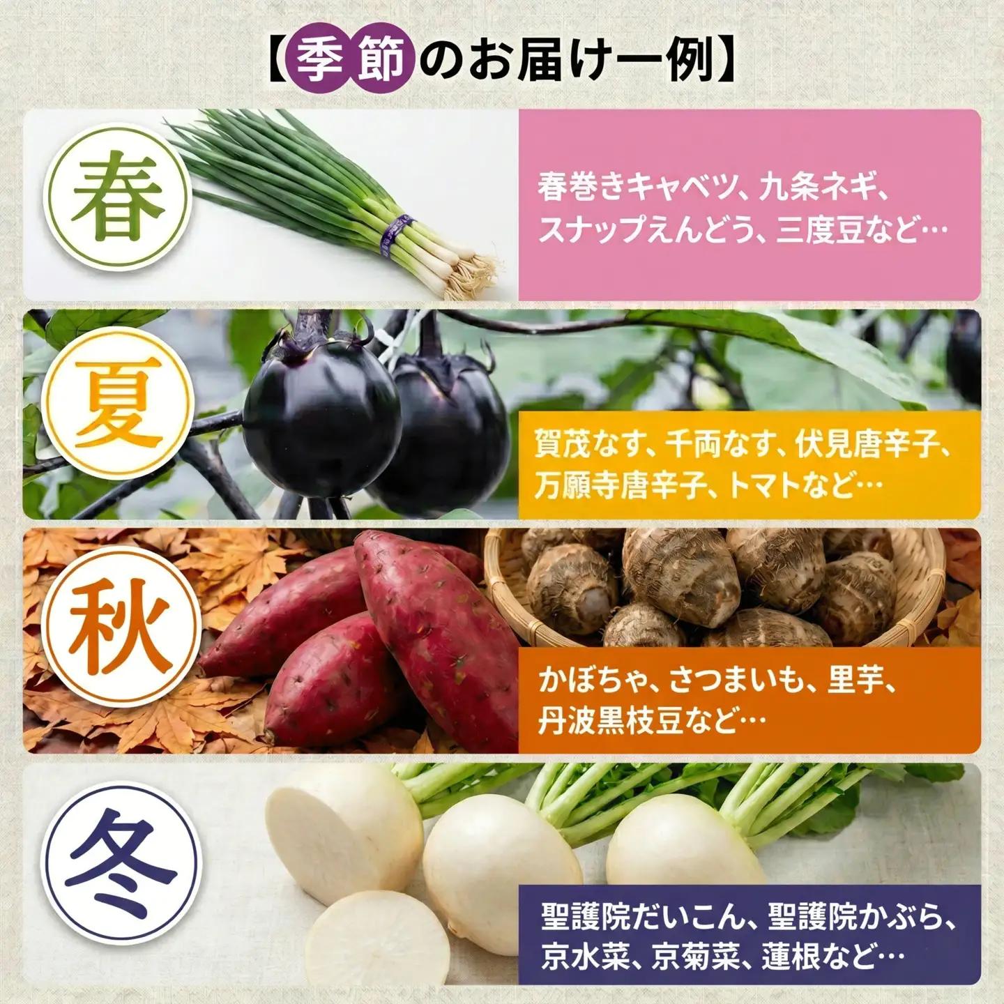 【定期便3回】京野菜セット 4~6種  定期便 レギュラーコース 野菜定期便 