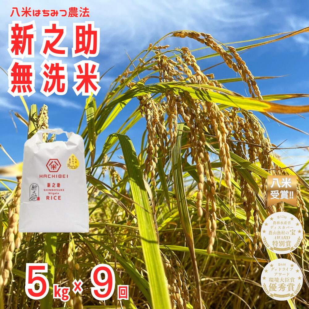 【ふるさと納税】【令和8年産新米予約】【環境大臣賞受賞】【特別賞受賞】 9ヶ月定期便 無洗米 新之助 5kg×9回 計45kg 農家直送 ほんのり甘い「はちみつ農法」 白米 精米 HACHIBEI 八米 新潟県 米 こめ コメ 新米 新米予約 令和8年度産 10月中旬より順次発送予定
