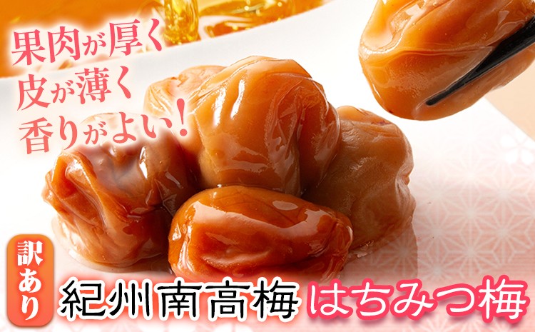 
                  南高梅 はちみつ 梅 わけあり 紀州南高梅 はちみつ梅 選べる内容量 1kg 2.6kg 有限会社プラム《30日以内に出荷予定(土日祝除く)》和歌山県 日高川町 梅 うめ ウメ 南高梅 蜂蜜 紀州 訳あり 送料無料
                