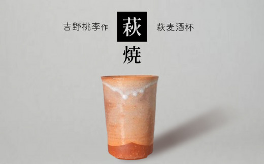 
萩焼 吉野桃李作 萩麦酒杯
