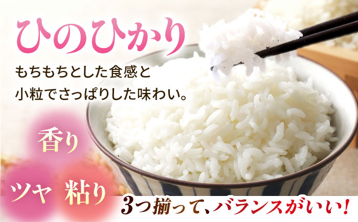 【新米先行予約】【3回定期便】山鹿のお米 ヒノヒカリ 5kg×2【有限会社 あそしな米穀】 [ZBI018]