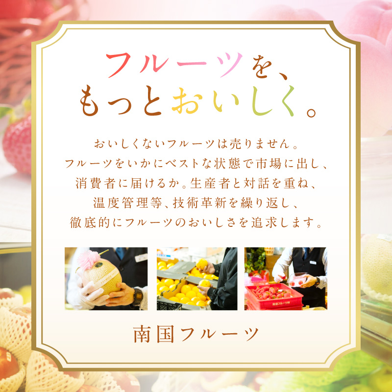 佐賀産せとか 約3kg (7-12玉) (伊万里市) 柑橘類 147-B801_イメージ5