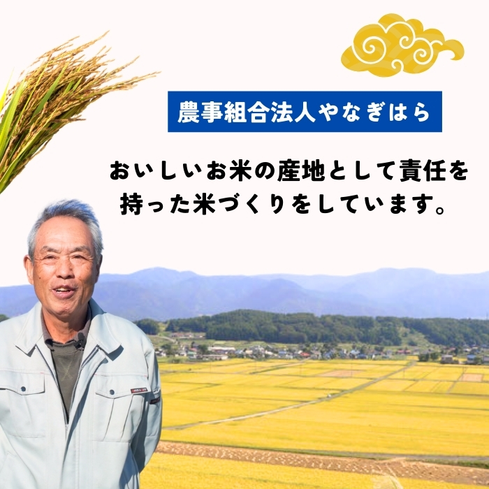 【先行予約】＜令和7年産新米＞特別栽培米 「やなぎはらの米 こしひかり」4㎏（真空包装） (7-67) 4ｋｇ( 真空包装）