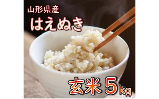 
            はえぬき 玄米 5kg 【令和6年産】 2024年11月または12月発送 山形県産 米 コメ こめ F3S-2263
          