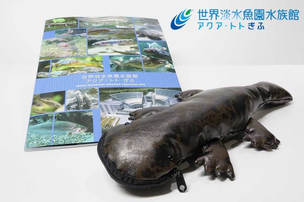 
507 世界淡水魚園水族館　アクア・トトぎふ　オオサンショウウオペンケース＋ガイドブック

