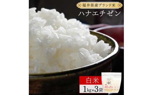 福井県産 ハナエチゼン 精米 3kg（1kg×3）＜令和7年産 数量限定 ＞【米 コメ お米 精米 白米 無洗米 玄米 ご飯 飯 華越前 ブランド米 国産】[095-a310_A]