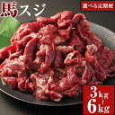 【ふるさと納税】【選べる定期便】馬スジ 1回あたり約1kg（約500g×2パック）計約3kg 計約6kg 3ヶ月 6ヶ月 定期便 馬すじ 馬肉 すじ肉 スジ肉 すじ 肉 お肉 煮込み料理 カレー 料理用 冷凍 お取り寄せグルメ 熊本県 湯前町 送料無料