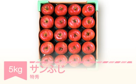 りんご サンふじ 約5kg 特秀品 リンゴ 林檎 令和6年産 2024年産 果物 山形県産 ※沖縄・離島への配送不可 mm-risft5