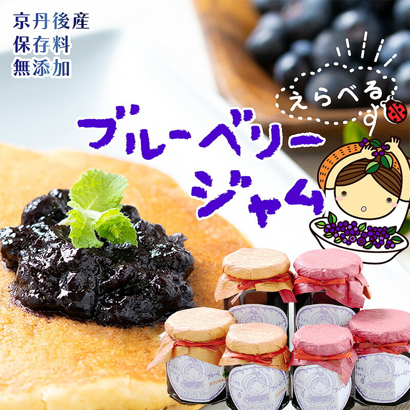 【ふるさと納税】ブルーベリージャム 2個セット 110g 200g 330g 2種 甘さ通常 甘さひかえめ 食べ比べ 選べる セット内容 手作り 加工食品 ぶるーべりー じゃむ フルーツ 果物 アントシアニン 完熟 国産 朝食 朝ごはん トーストヨーグルト 生産者応援 農家応援 送料無料