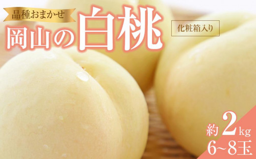 
            桃 2025年 先行予約 岡山の 白桃 （早生、中生種）約2.0kg 6～8玉 もも モモ 岡山県産 国産 フルーツ 果物 ギフト 横木農園
          