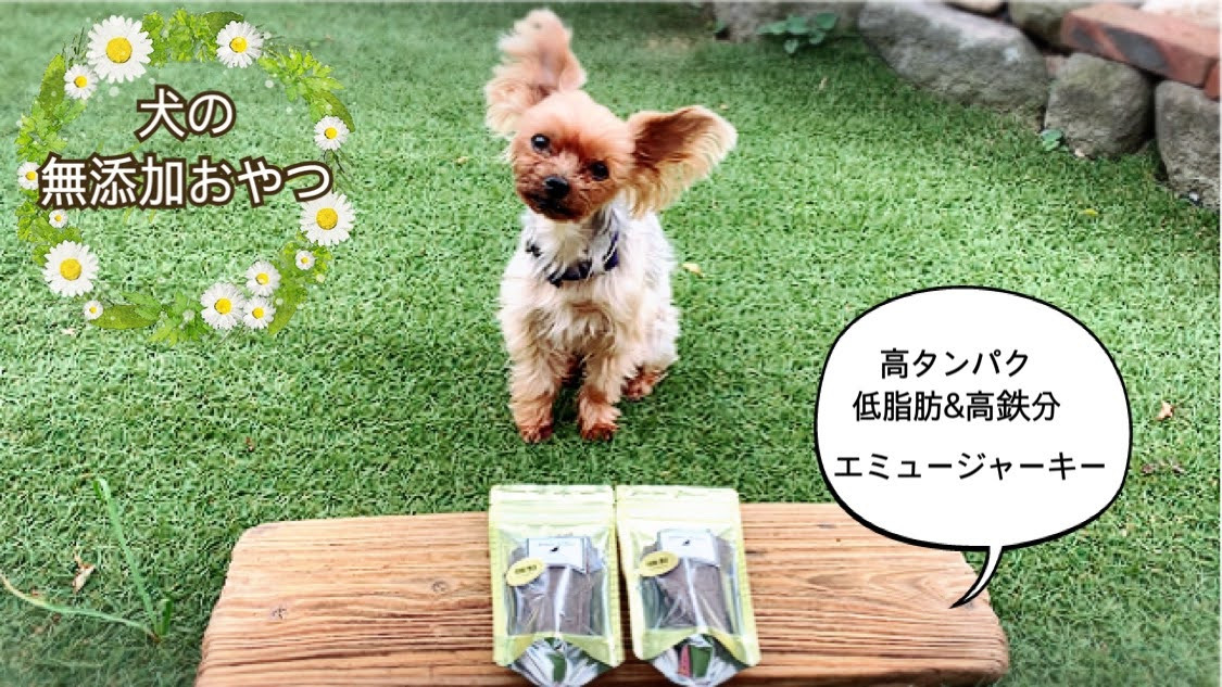 
            犬の無添加おやつ　ダイエット中のわんちゃんにも嬉しいエミュージャーキー2個
          