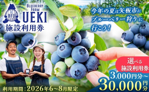
                  BULE BERRY FARM UEKI 施設利用券 ３０００円～30000円
                